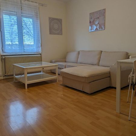Le Balois - Appartement 2 Chambres, Salon, Cuisine Equipee, Parking Et Wifi Gratuit Мюлуз Екстериор снимка