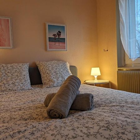 Le Balois - Appartement 2 Chambres, Salon, Cuisine Equipee, Parking Et Wifi Gratuit Мюлуз Екстериор снимка